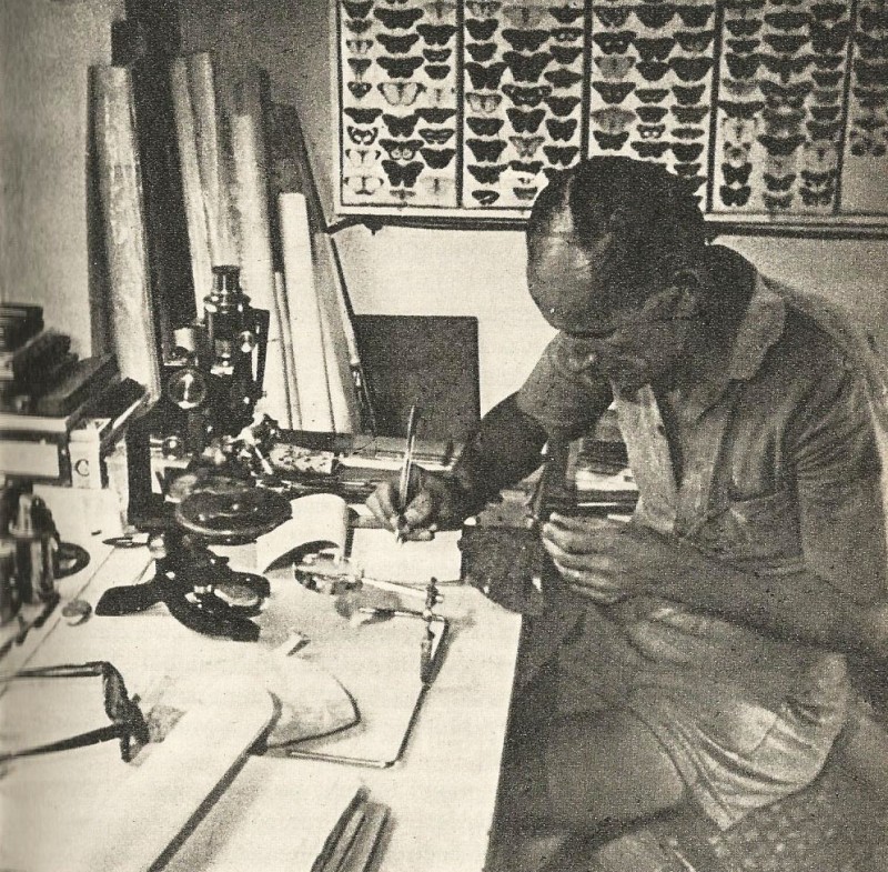 Dr. Ferencz Károly laboratóriumában.